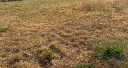 Renazé Maison neuve - 2583911-11827annonce220260716yu7Vw.jpeg Maisons France Confort