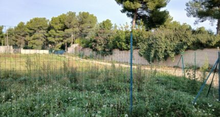 Rognac Maison neuve - 2645547-11680annonce320260923T5gfr.jpeg Maisons France Confort