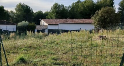 Rognac Maison neuve - 2645542-11680annonce520260923UolaB.jpeg Maisons France Confort