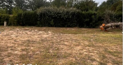 Pujols-sur-Ciron Maison neuve - 2645803-3601annonce120260923SmZxw.jpeg Maisons France Confort