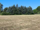 Terrain à bâtir à Jarnac (16200) 2646245-11268annonce120260923IQtqA.jpeg Maisons France Confort