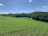 Terrain à bâtir à Marsaneix (24750) 2646431-11794annonce1202609239ng4J.jpeg Maisons France Confort