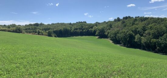 Terrain à bâtir à Marsaneix, Nouvelle-Aquitaine