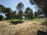 Terrain à bâtir à Roquebrune-sur-Argens (83520) 2646361-11039annonce120260923tf9N3.jpeg Maisons France Confort