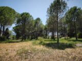 Terrain à bâtir à Roquebrune-sur-Argens (83520) 2646361-11039annonce320260923gzsuT.jpeg Maisons France Confort