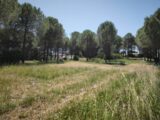Terrain à bâtir à Roquebrune-sur-Argens (83520) 2646299-11039annonce220260923uD67U.jpeg Maisons France Confort