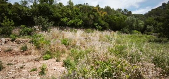 Terrain à bâtir à , Var