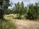 Terrain à bâtir à Belgentier (83210) 2646550-11039annonce420260923JBbUF.jpeg Maisons France Confort