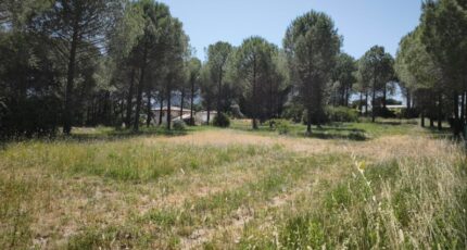 Roquebrune-sur-Argens Maison neuve - 2646321-11039annonce220260923uD67U.jpeg Maisons France Confort