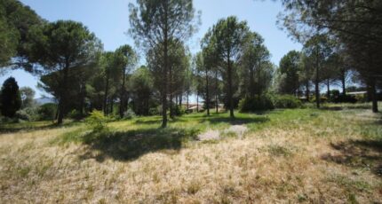 Roquebrune-sur-Argens Maison neuve - 2646376-11039annonce120260923tf9N3.jpeg Maisons France Confort