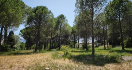 Roquebrune-sur-Argens Maison neuve - 2646376-11039annonce320260923gzsuT.jpeg Maisons France Confort