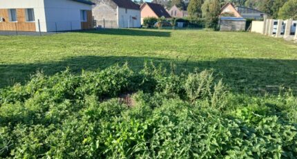 Saint-Riquier Maison neuve - 2632849-11934annonce120260924czKto.jpeg Maisons France Confort