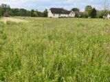 Terrain à bâtir à Prudhomat (46130) 2568125-3828annonce120240425yAe1g.jpeg Maisons France Confort