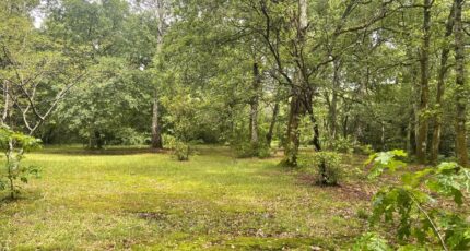 Le Taillan-Médoc Maison neuve - 2643471-11280annonce120260922axVgu.jpeg Maisons France Confort