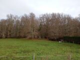 Terrain à bâtir à Bouliac (33270) 2647041-11596annonce220260924S96os.jpeg Maisons France Confort