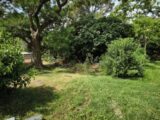 Terrain à bâtir à Toulon (83000) 2646914-11039annonce120260924O1sbh.jpeg Maisons France Confort