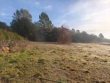 Terrain à bâtir à Carcès (83570) 2646946-11039annonce220260924y69dZ.jpeg Maisons France Confort