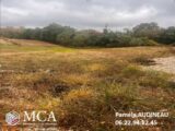 Terrain à bâtir à Monprimblanc (33410) 2647215-3601annonce120260924Ibzva.jpeg Maisons France Confort