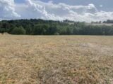 Terrain à bâtir à Coursac (24430) 2647121-11794annonce120260924MTMXT.jpeg Maisons France Confort