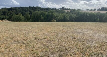 Coursac Terrain à bâtir - 2647121-11794annonce120260924MTMXT.jpeg Maisons France Confort