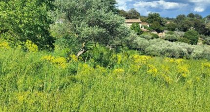 Lorgues Terrain à bâtir - 2647445-11157annonce420260924NA8s6.jpeg Maisons France Confort