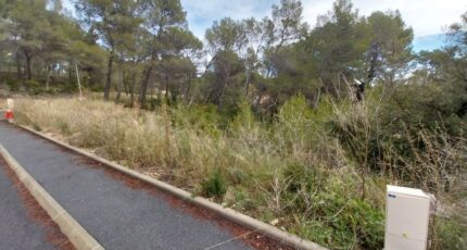 Salernes Terrain à bâtir - 2647327-11157annonce3202609249CJPk.jpeg Maisons France Confort