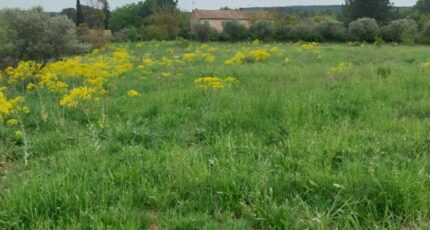 Lorgues Maison neuve - 2647458-11157annonce320260924hUrHs.jpeg Maisons France Confort