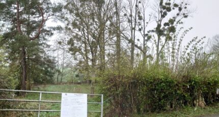 Manou Maison neuve - 2646362-10924annonce220260830rtU2q.jpeg Maisons France Confort