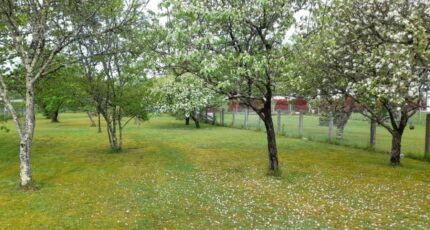 Couzeix Maison neuve - 2561901-11804annonce320260623dhCIf.jpeg Maisons France Confort