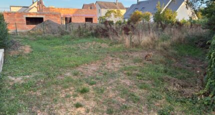 Jebsheim Terrain à bâtir - 2647528-11945annonce220260924vNN2Z.jpeg Maisons France Confort