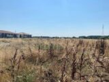 Terrain à bâtir à Castelsarrasin (82100) 2647752-11913annonce320260924pDtuH.jpeg Maisons France Confort