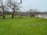 Maison à construire à Aixe-sur-Vienne (87700) 2563302-11821annonce1202606248QaJF.jpeg Maisons France Confort