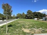 Terrain à bâtir à Illats (33720) 2646230-11958annonce1202609235TaaP.jpeg Maisons France Confort