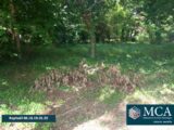 Maison à construire à Lugos (33830) 2648709-5828annonce120260818Mzyuz.jpeg Maisons France Confort
