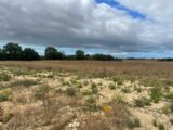 Terrain à bâtir à Saint-Nazaire-sur-Charente (17780) 2649169-11194annonce2202609257Bdox.jpeg Maisons France Confort