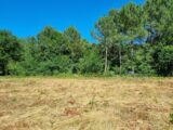Terrain à bâtir à Saint-Médard-en-Jalles (33160) 2650586-11726annonce22026092532ZwQ.jpeg Maisons France Confort