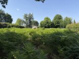 Terrain à bâtir à Saint-Aubin-de-Médoc (33160) 2650610-11726annonce120260925k8mWB.jpeg Maisons France Confort