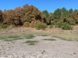 Terrain à bâtir à Lège-Cap-Ferret (33950) 2651093-11645annonce120260926nA4k7.jpeg Maisons France Confort