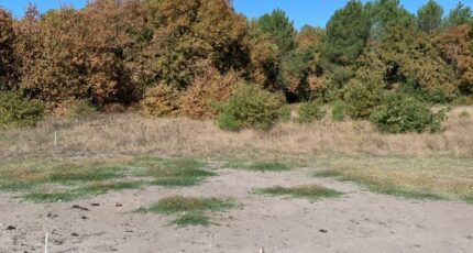 Lège-Cap-Ferret Terrain à bâtir - 2651093-11645annonce120260926nA4k7.jpeg Maisons France Confort