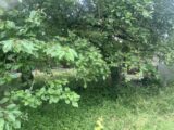 Maison à construire à Illange (57970) 2651253-5141annonce120260705T4tZl.jpeg Maisons France Confort
