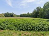 Terrain à bâtir à Cavignac (33620) 2643790-11516annonce120260922vBQhQ.jpeg Maisons France Confort