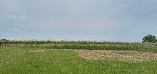 Terrain à bâtir à La Lande-de-Fronsac, Nouvelle-Aquitaine