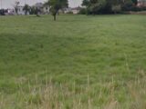 Terrain à bâtir à Wanquetin (62123) 2649397-6159annonce320260925X3BRO.jpeg Maisons France Confort