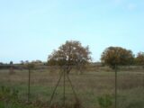 Terrain à bâtir à Tresserre (66300) 2570420-666annonce1202607012Uh7V.jpeg Maisons France Confort