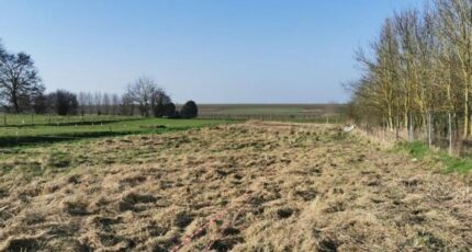 Lagnicourt-Marcel Maison neuve - 2592074-7246annonce120260728NbUQQ.jpeg Maisons France Confort