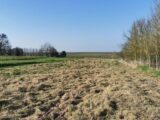 Maison à construire à Lagnicourt-Marcel (62159) 2592075-7246annonce120260728NbUQQ.jpeg Maisons France Confort