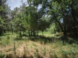 Terrain à bâtir à Garéoult (83136) 2652659-11039annonce2202609285gsec.jpeg Maisons France Confort