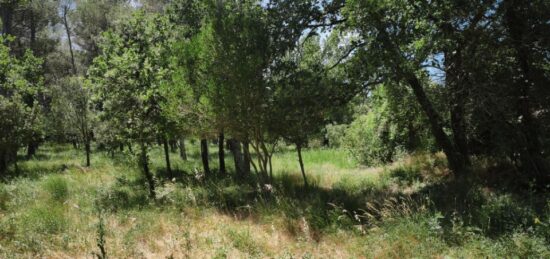 Terrain à bâtir à , Var