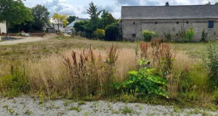 Changé Terrain à bâtir - 2608889-3855annonce120260826y3S6F.jpeg Maisons France Confort