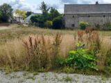 Maison à construire à Changé (53810) 2608902-3855annonce120260826y3S6F.jpeg Maisons France Confort